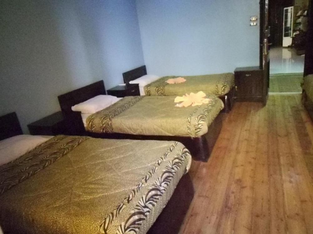 Bed in 5-Bed Mixed Dormitory Room